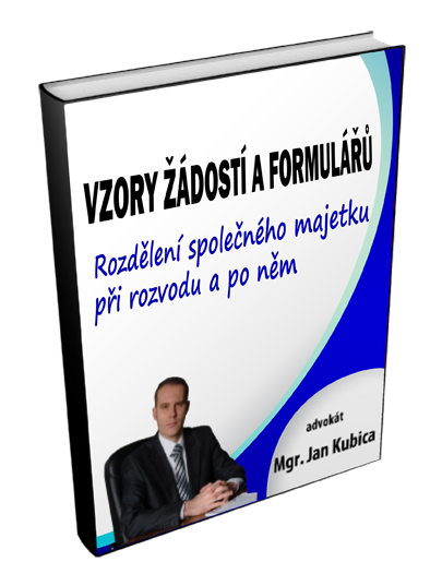 Vzor - Rozdělení společného majetku při rozvodu a po něm - obálka